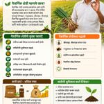 कमी खर्चात अधिक नफा, नैसर्गिक शेतीचे फायदे