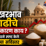साखरेच्या वाढत्या किमतींना इथेनॉल नव्हे तर कमी उत्पादन आणि साठेबाजी कारणीभूत – सरकारचा दावा