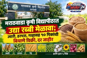 मराठवाडा कृषी विद्यापीठात उद्या रब्बी मेळावा; ज्वारी, हरभरा,&hellip;