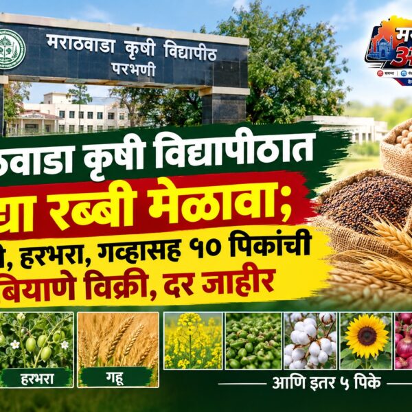 मराठवाडा कृषी विद्यापीठात उद्या रब्बी मेळावा; ज्वारी, हरभरा,…
