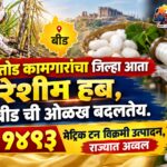 ऊसतोड कामगारांचा जिल्हा आता रेशीम हब, बीड ची ओळख बदलतेय.